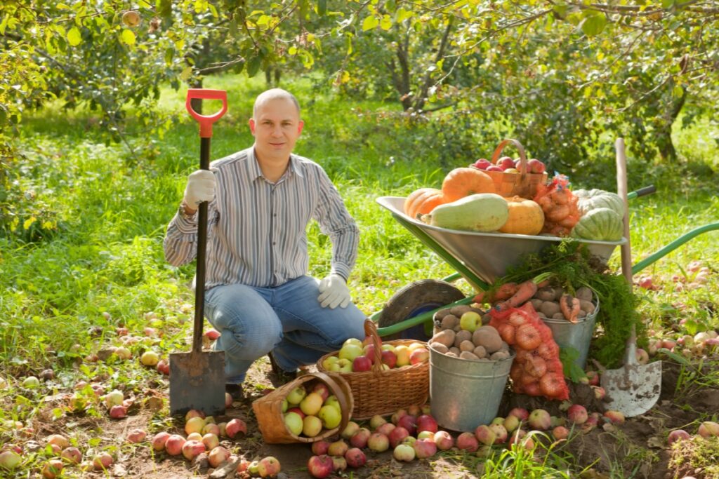 Fruit Picker USA